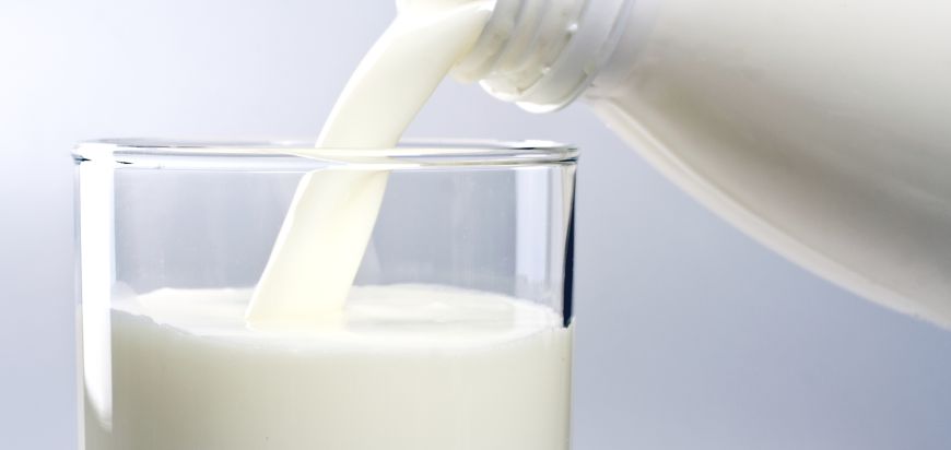 Laptele - un aliment controversat