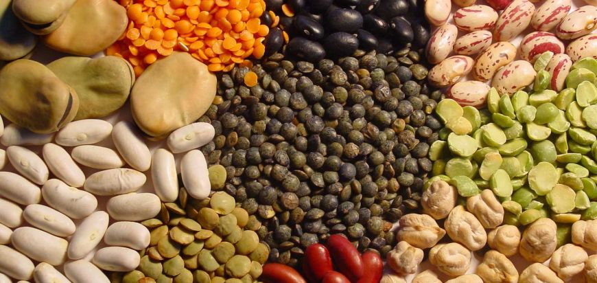 Surse importante de proteine vegetale