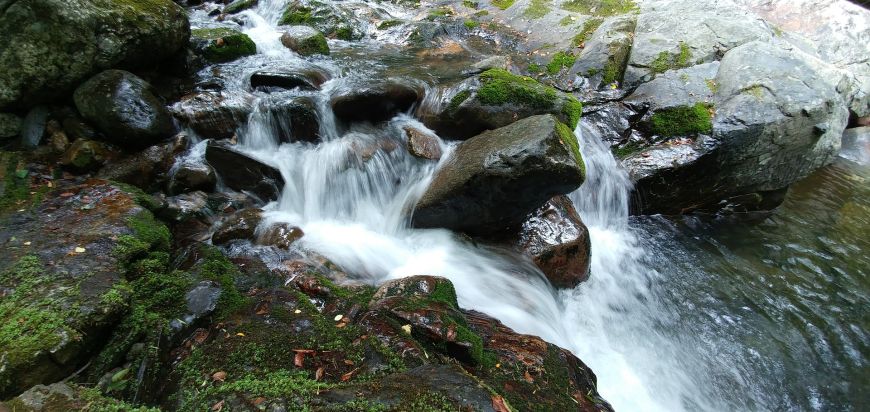 Hidratarea corecta in timpul verii